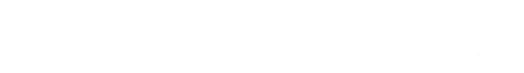 logoexcentis